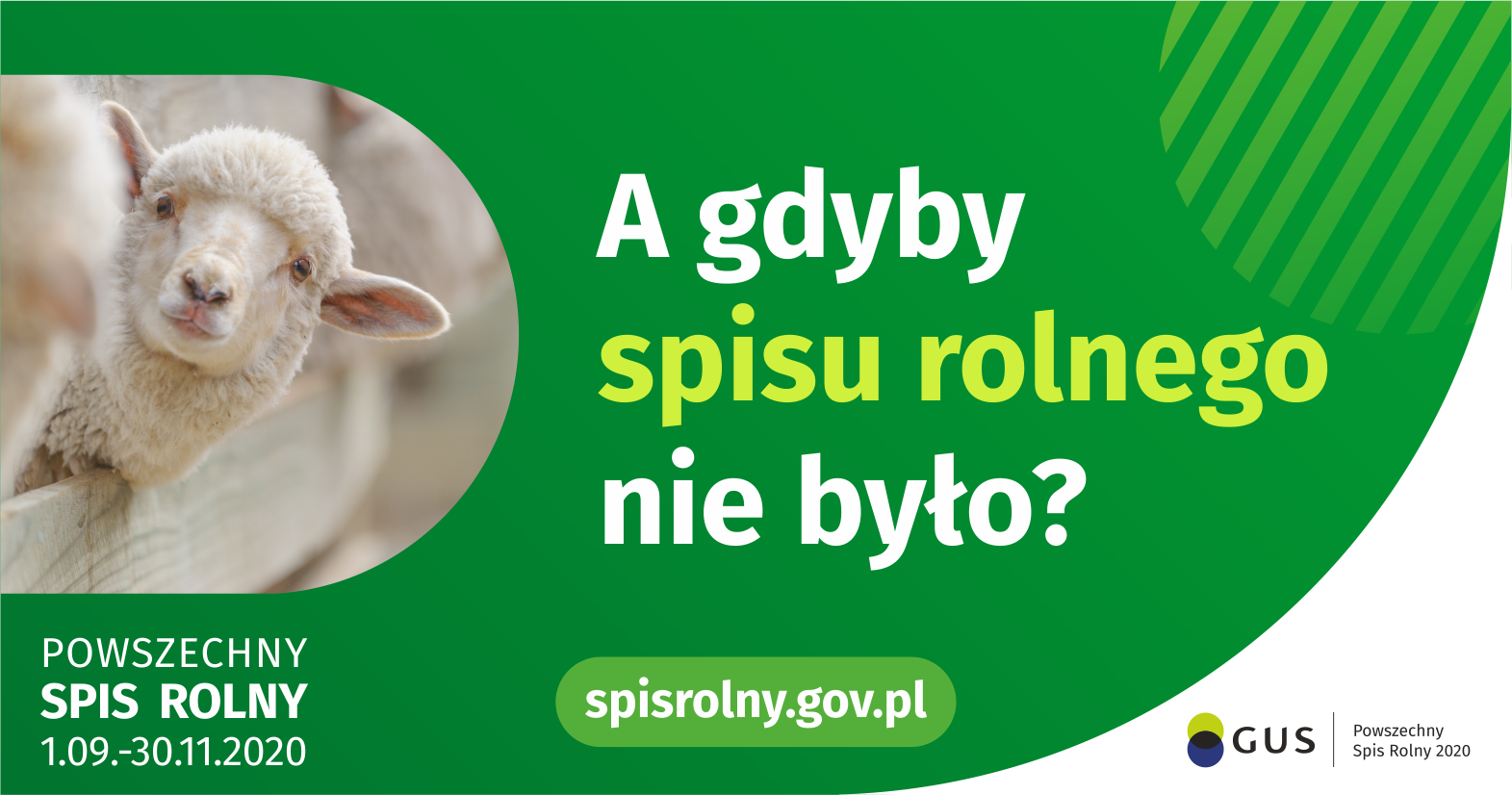 Na plakacie na zielonym tle znajduje się zdjęcie owieczki i napis: A gdyby spisu rolnego nie było? spisrolny gov.pl